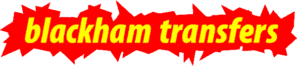 BlackTrans logo